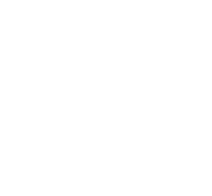 Pacific & Paradis
